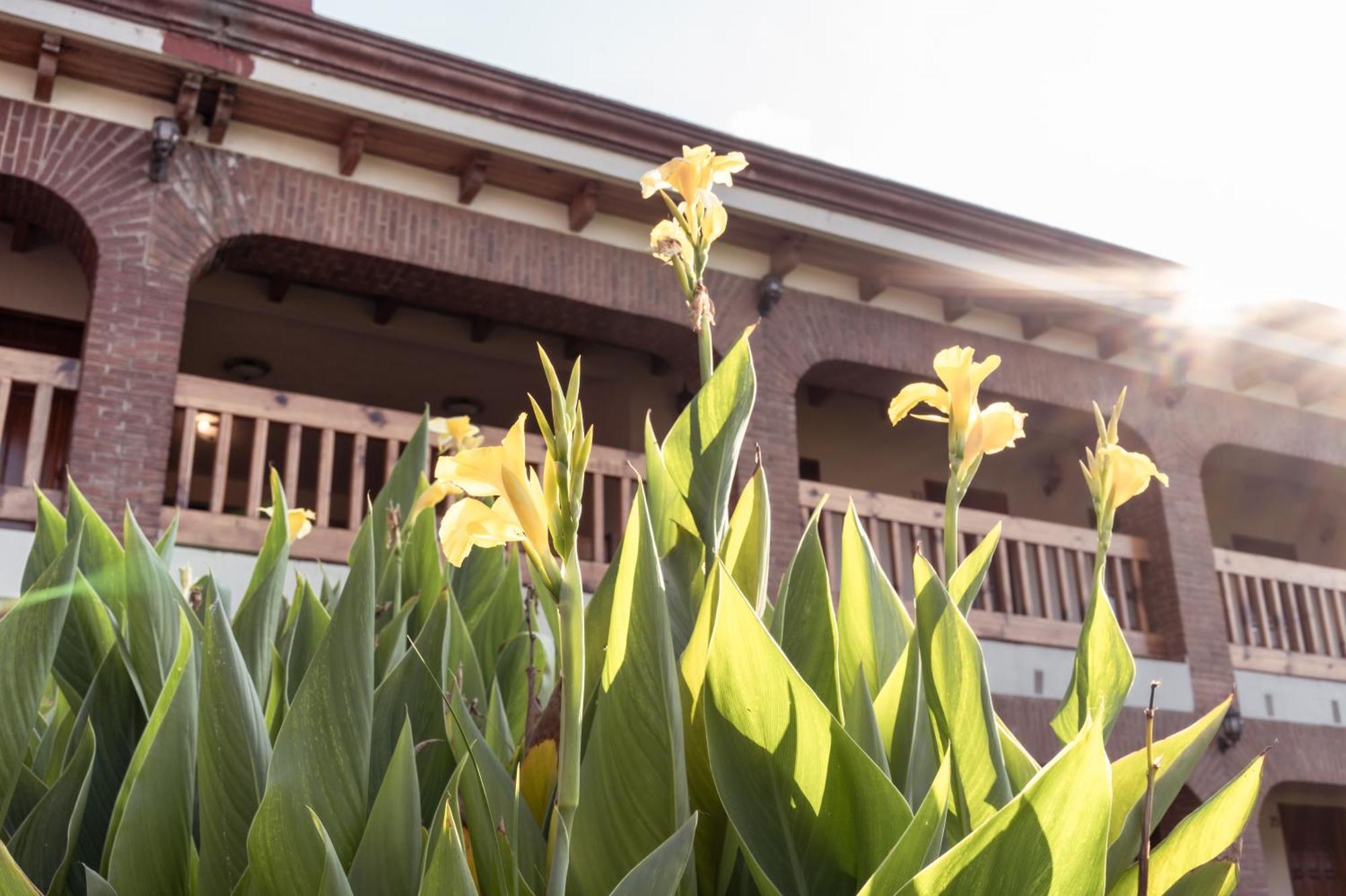 Hotel La Casona Jilotepec de Abasolo Екстериор снимка